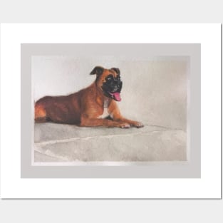 Boxer dog Posters and Art